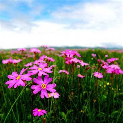 亚博AG娱乐下载手机版