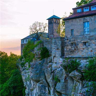 im电竞官方官网手机app下载